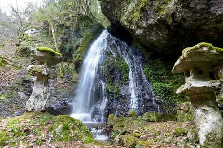 �s�����̑�